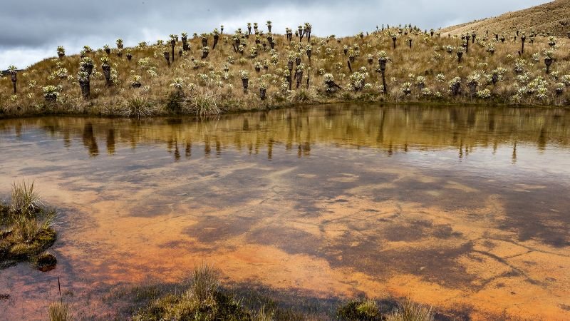 tulcan - Descubre la belleza natural de Tulcán: los mejores lugares para visitar