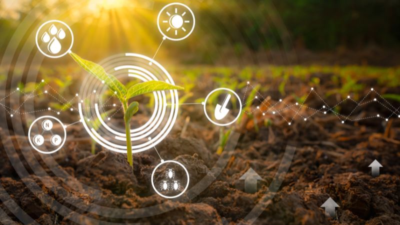 narino - Cómo la tecnología está transformando el sector agrícola en Nariño