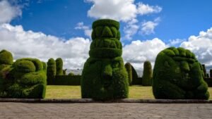 Lee más sobre el artículo Turismo en Ecuador: Cementerio de Tulcán atrae miles de turistas colombianos